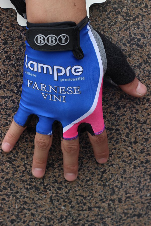 Hundschuhe Lampre 2014 blau